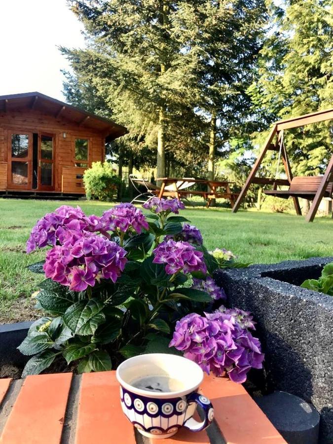 Osada Laskowo, Osrodek Laskowo Domki Nad Jeziorem Buitenkant foto
